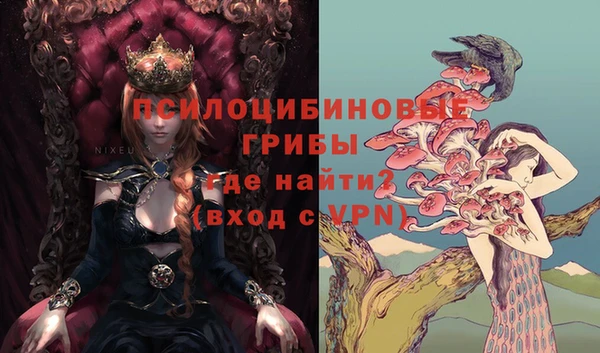 крисы Саяногорск