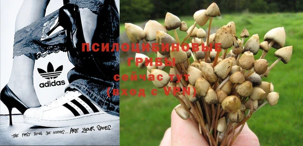 не бодяженный Балахна