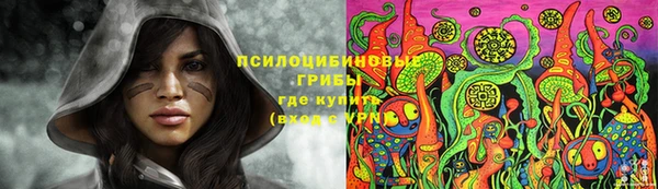 соль ск Балабаново