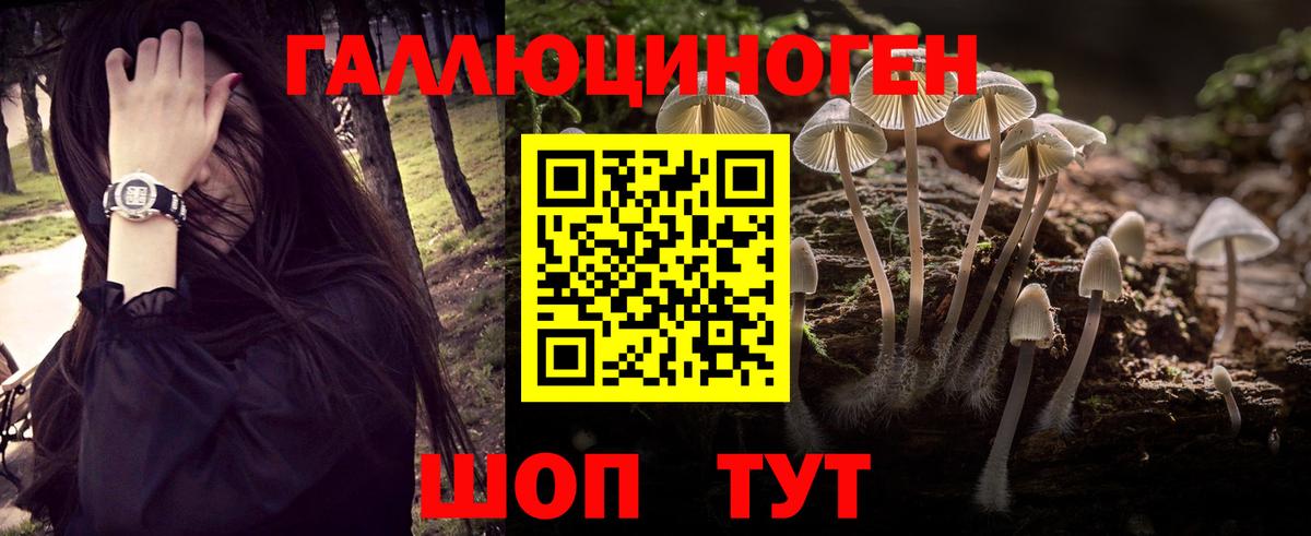 Галлюциногенные грибы ЛСД  Вход с VPN  Галлюциногенные грибы Cubensis  Чернушка 